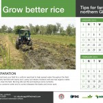 155 Grow better rice