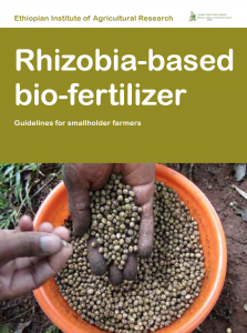 330 Rhizobia-based biofertilizer