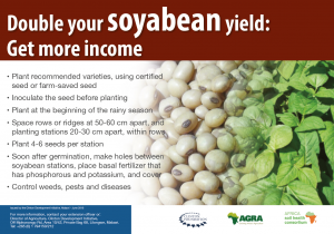 185 soybean poster