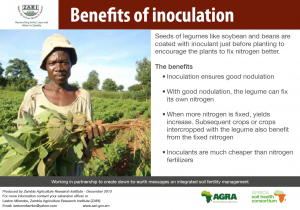 Benefits of inoculation