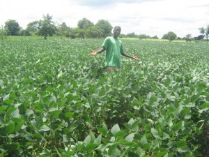 Photo Malawi farmer in field JPG