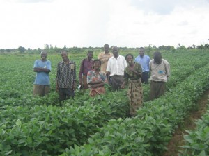 Photo Malawi farmers