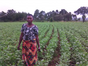 Photo Tanzania woman in soybean field Tz