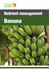 552 banana nutrient management guide
