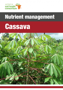 553 cassava nutrient management guide