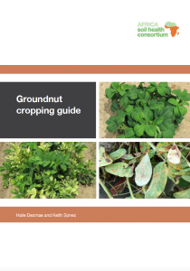groundnut guide