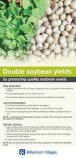 soybean factsheet
