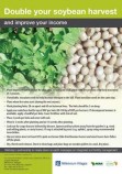 soybean poster