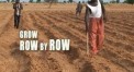 grow row by row