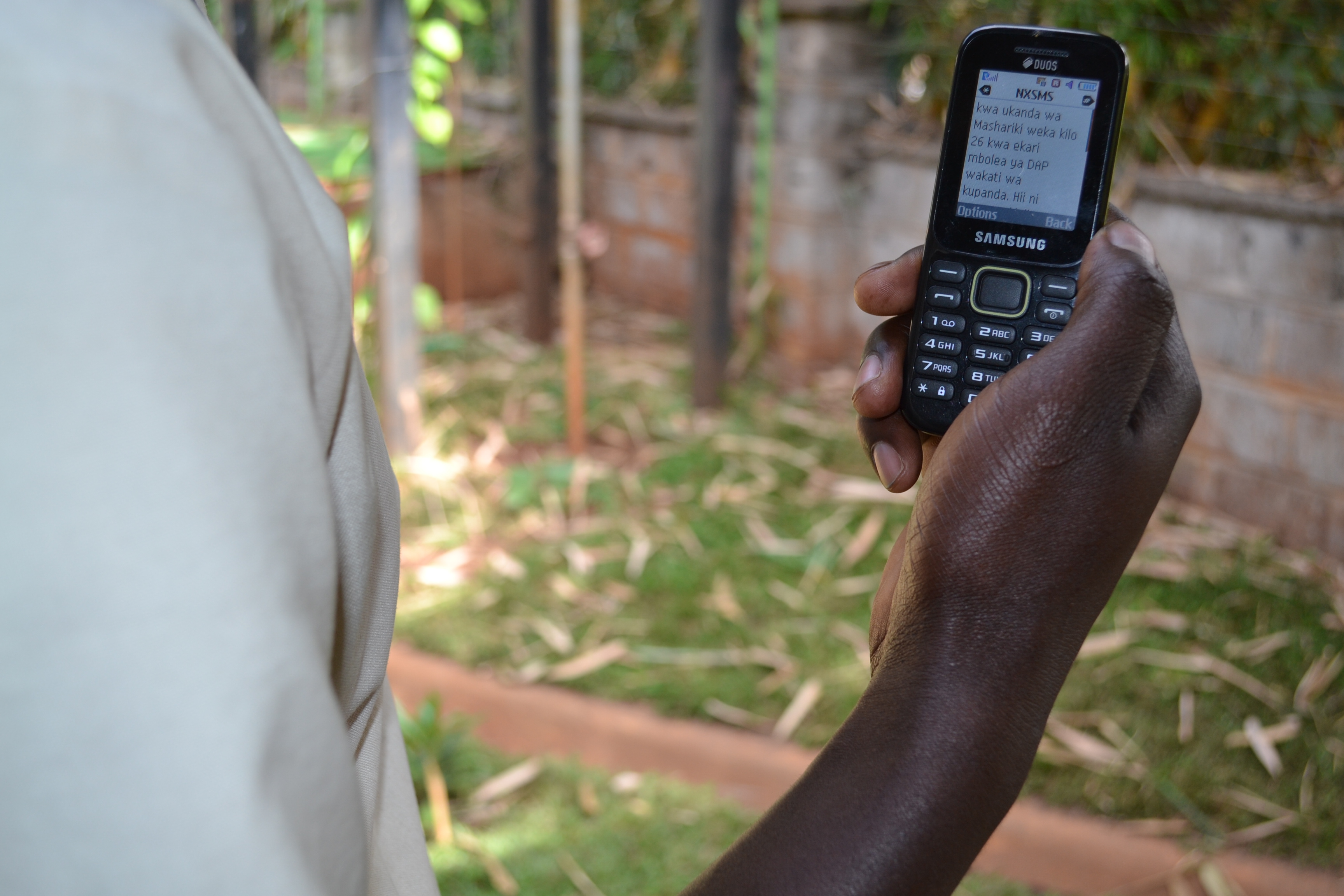 100 000 Sms Messages Sent To Help Farmers In Tanzania Cabi Ashc