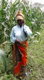 UPTAKE woman maize faremr with phone